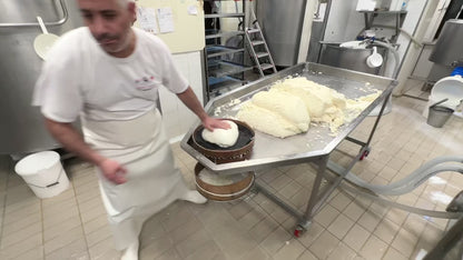 Büffelmozzarella D.O.P. aus Mondragone (nur auf Bestellung)